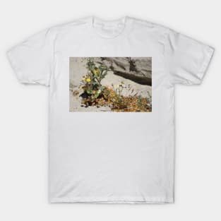 Closeup of Small Desert Wildflowers T-Shirt